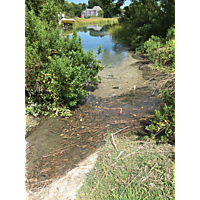 August 2019 king tide Norfolk image